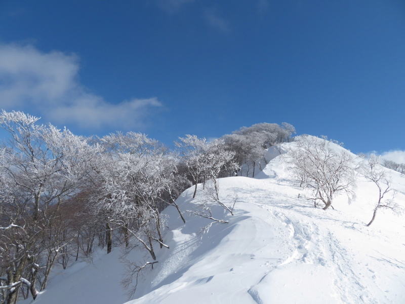 帰りも樹氷が美しかった　大日ｹ岳 (1,708.9M)    下山 編_d0170615_19264590.jpg