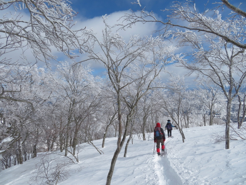 帰りも樹氷が美しかった 大日ケ岳 (1,708.9M) 下山 編_d0170615_19272137.jpg
