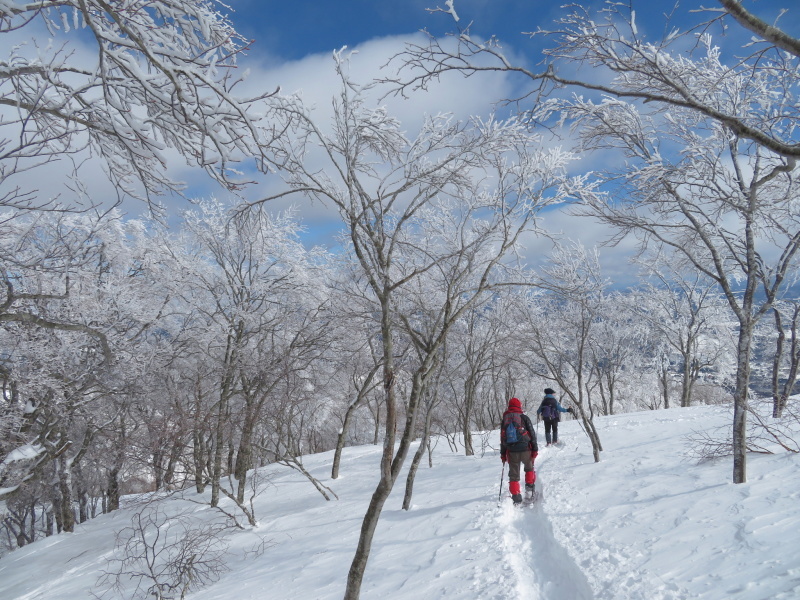 帰りも樹氷が美しかった　大日ｹ岳 (1,708.9M)    下山 編_d0170615_19272137.jpg