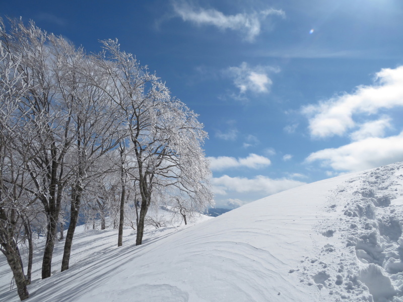 帰りも樹氷が美しかった　大日ｹ岳 (1,708.9M)    下山 編_d0170615_19273030.jpg