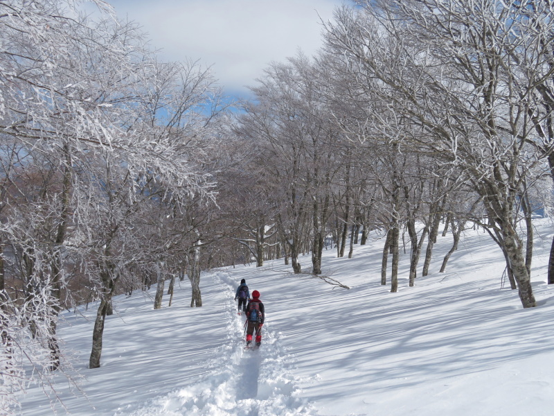 帰りも樹氷が美しかった　大日ｹ岳 (1,708.9M)    下山 編_d0170615_19274017.jpg