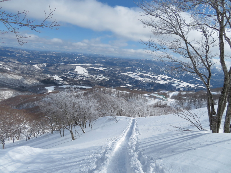 帰りも樹氷が美しかった　大日ｹ岳 (1,708.9M)    下山 編_d0170615_19275061.jpg