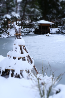 清水園の池は・・・。_e0135219_15181747.jpg