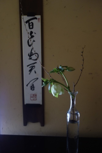 早春のお楽しみ_a0197730_10331484.jpeg
