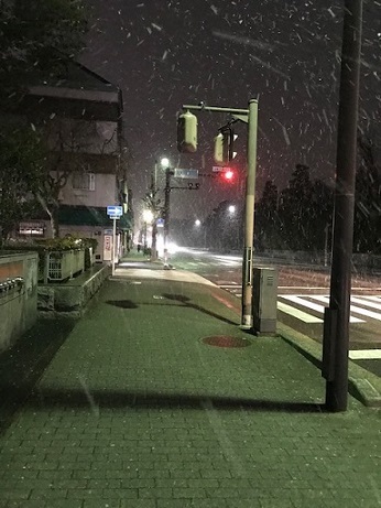 寒い京都・白クマの履きやすい軽量草履・おまけ付。_f0181251_16434711.jpg