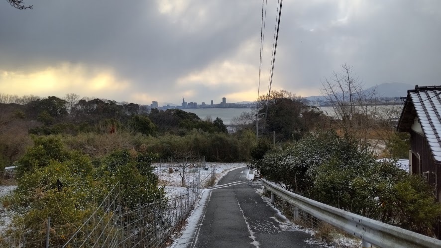 2021/2/19 やっと暖かくなった。_f0201157_10563144.jpg