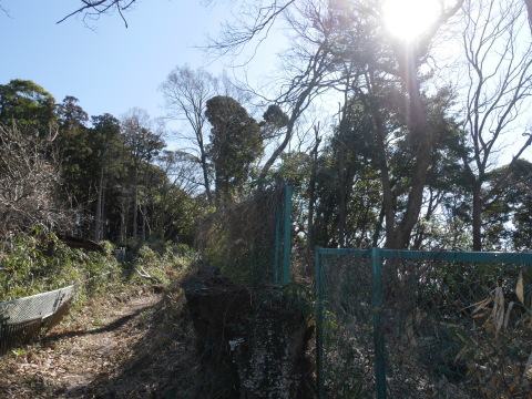 常緑樹枝打ちで畑の日差し回復2・18六国見山手入れ_c0014967_08461450.jpg