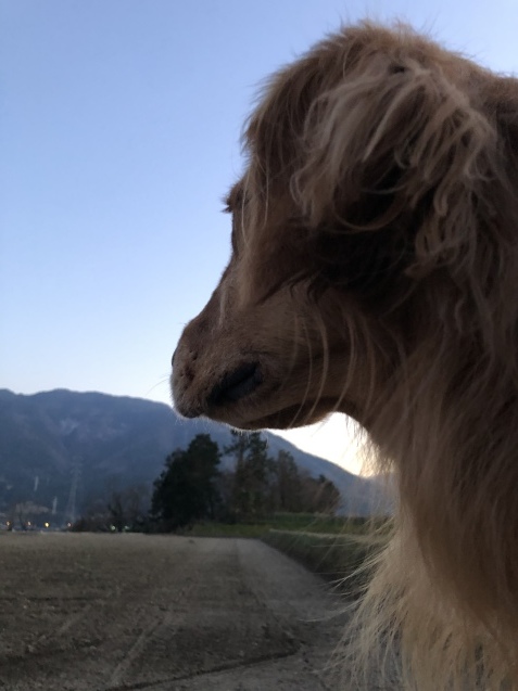 とろける週末。_a0394574_22514604.jpeg