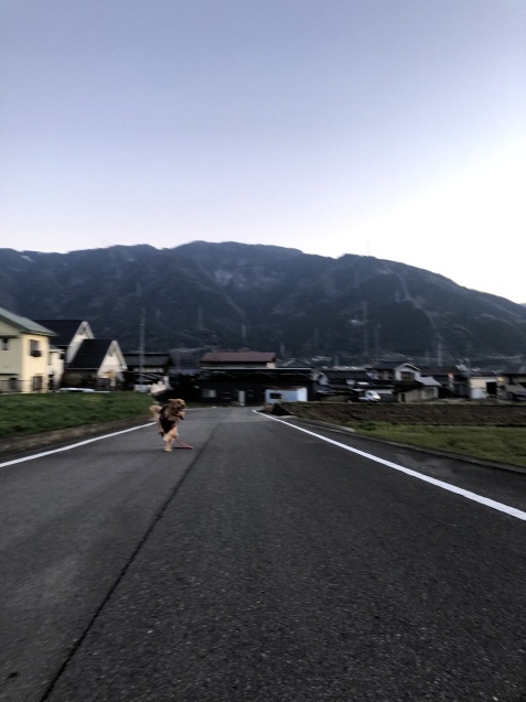 とろける週末。_a0394574_22523105.jpeg