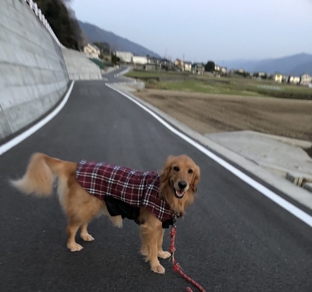 とろける週末。_a0394574_23063556.jpeg