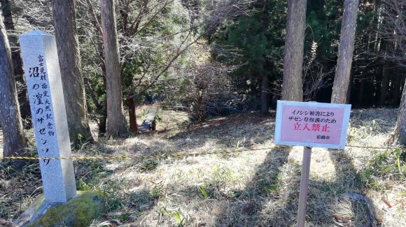 春を探しにお出掛け_c0212083_20141506.jpg