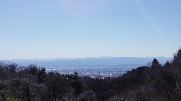 春を探しにお出掛け_c0212083_20160300.jpg