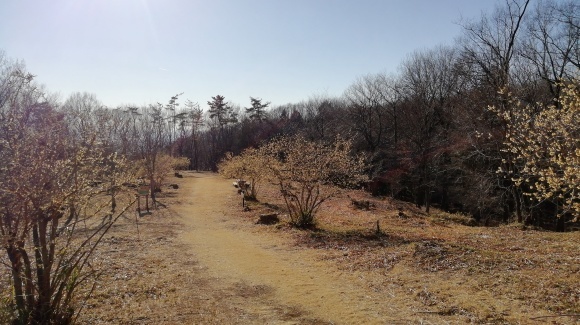 春を探しにお出掛け_c0212083_20212847.jpg