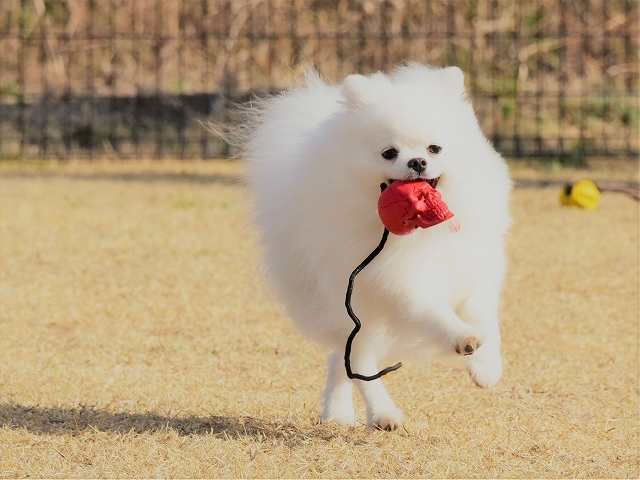 いい顔してる!_d0360206_21134024.jpg