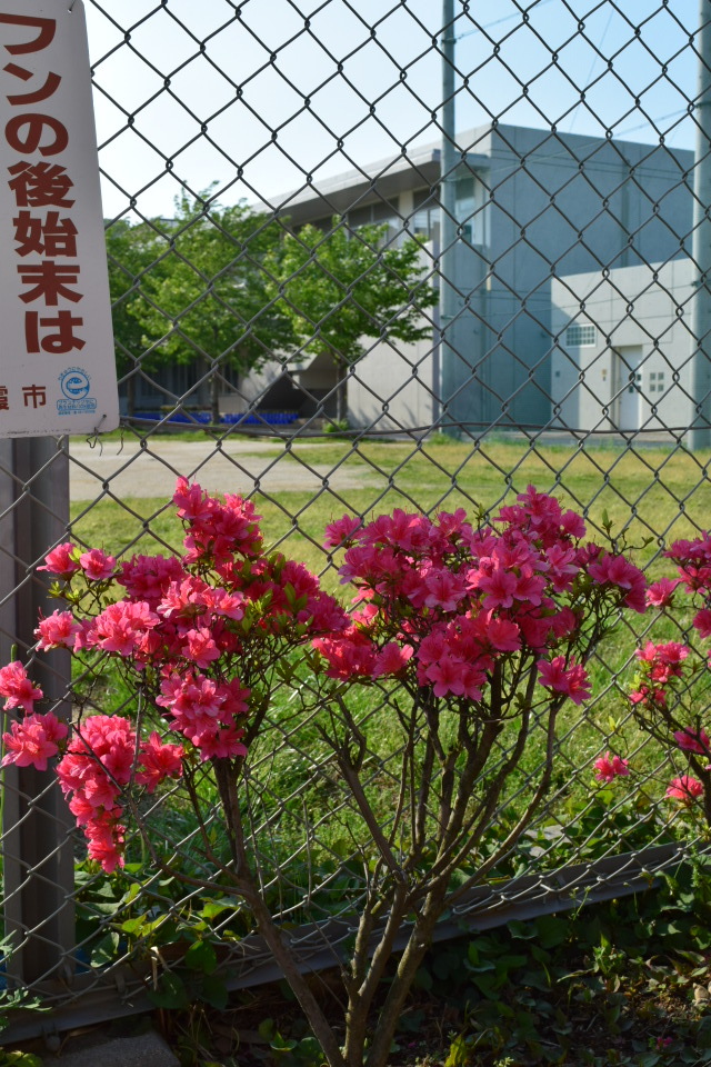 埼玉県朝霞市立朝霞第一中学校(建築家・関根要太郎作品研究)_f0142606_05191700.jpg