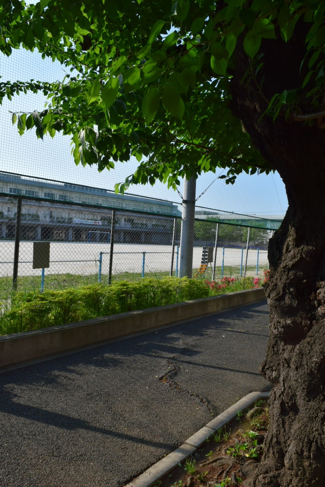 埼玉県朝霞市立朝霞第一中学校(建築家・関根要太郎作品研究)_f0142606_05223337.jpg