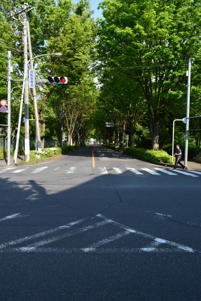 埼玉県朝霞市立朝霞第一中学校(建築家・関根要太郎作品研究)_f0142606_05352780.jpg
