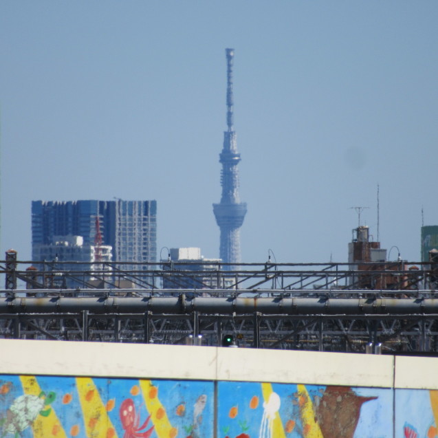 杉並区で一番標高が高い場所かもしれない スカイツリーだ 白い家で 21 杉並区で一番標高が高い場所かもしれない スカイツリーだ 白い家で 21