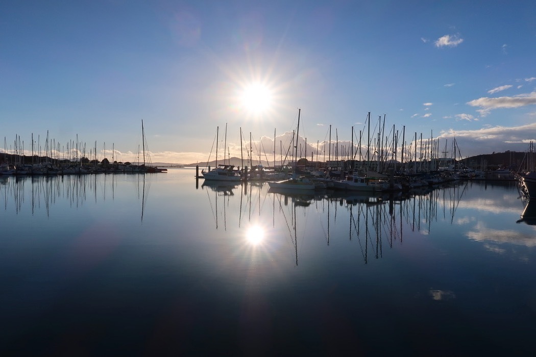 雨上がりの散歩 2_a0397115_17074230.jpg