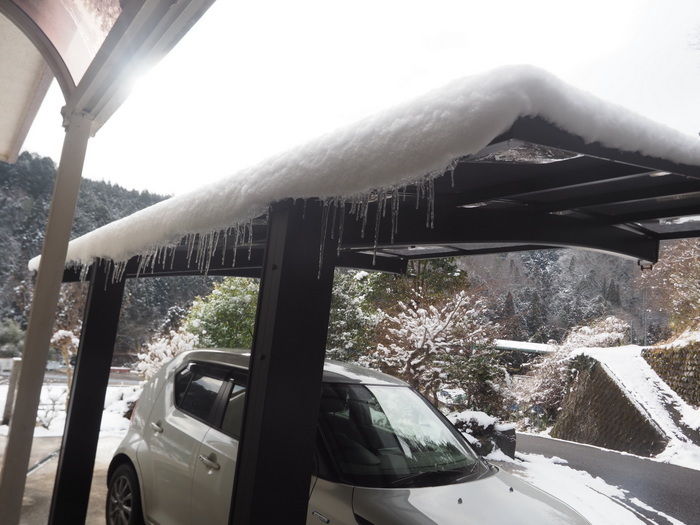 今朝も雪景色_c0116915_00051599.jpg