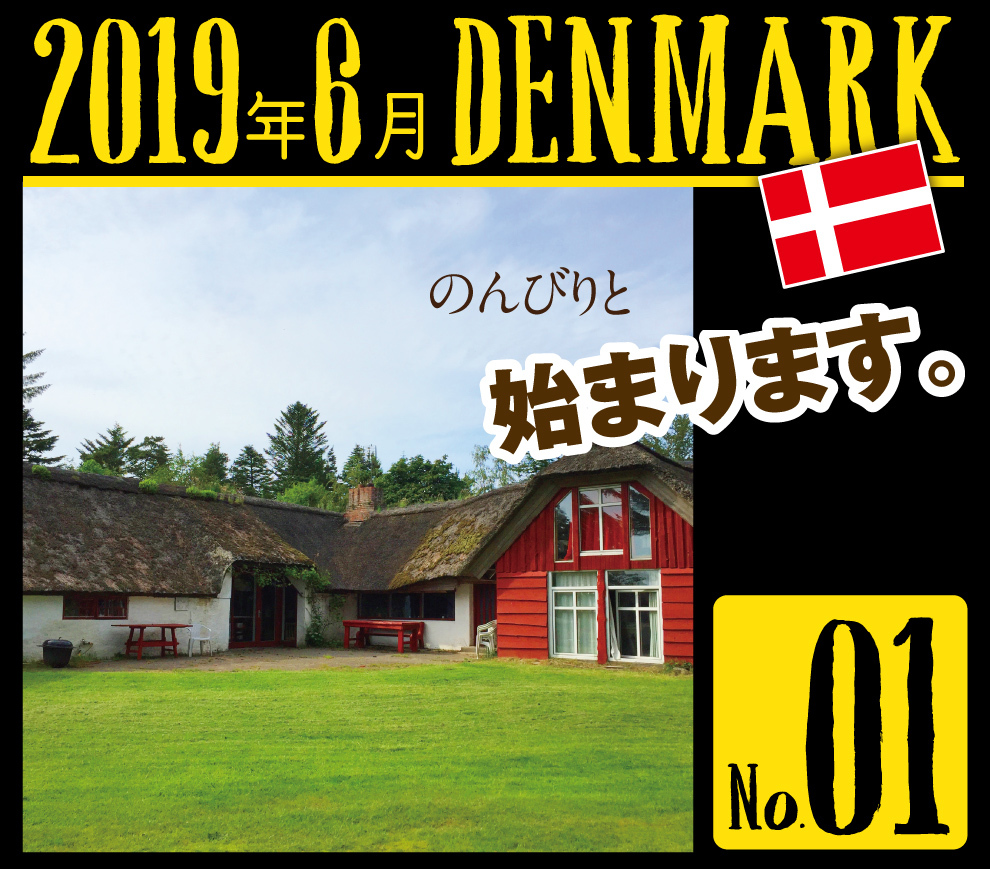 デンマーク一人旅☆2019その1_a0358016_22555245.jpg