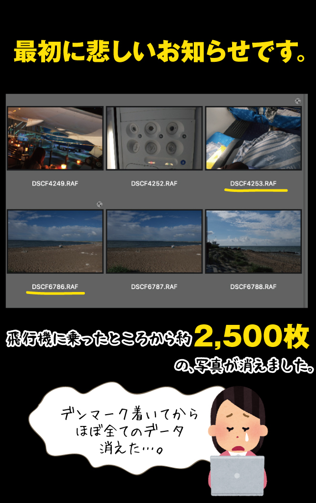 デンマーク一人旅☆2019その1_a0358016_22555576.jpg