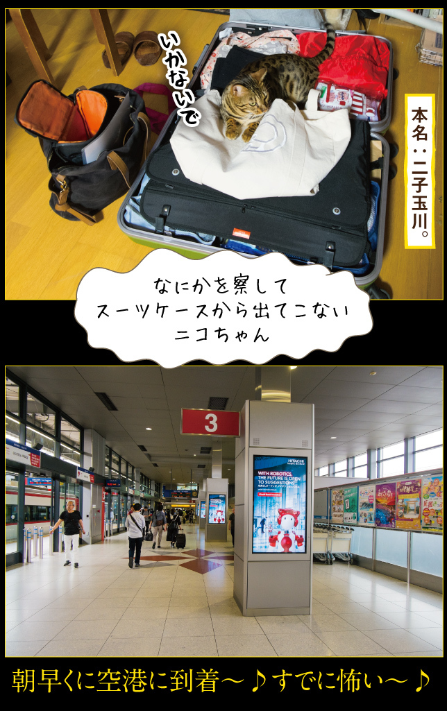 デンマーク一人旅☆2019その1_a0358016_22555927.jpg