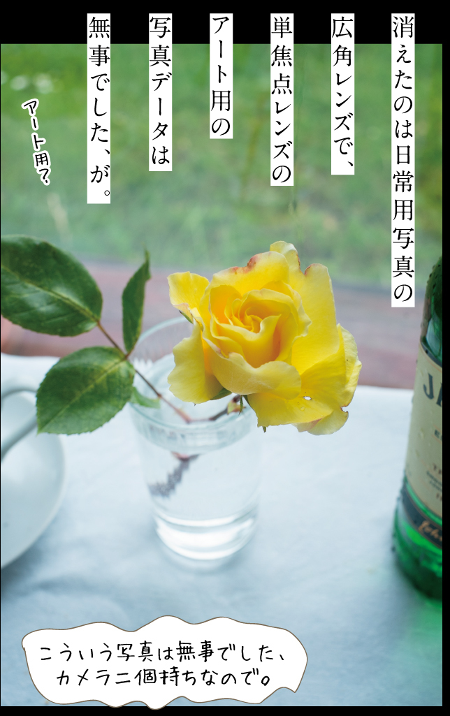 デンマーク一人旅☆2019その1_a0358016_22562293.jpg