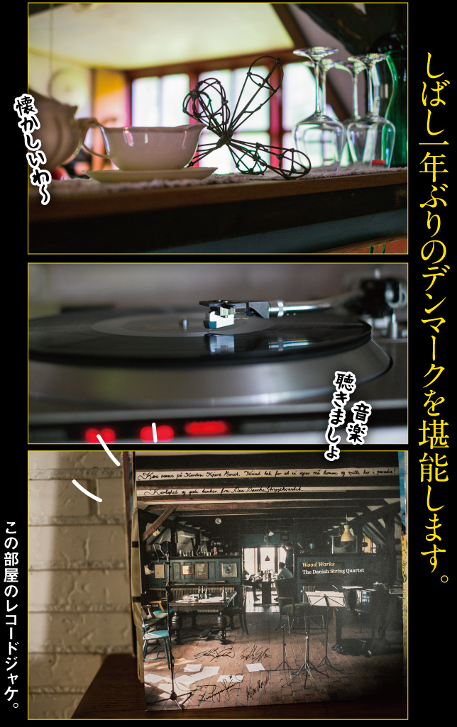 デンマーク一人旅☆2019その1_a0358016_22563381.jpg
