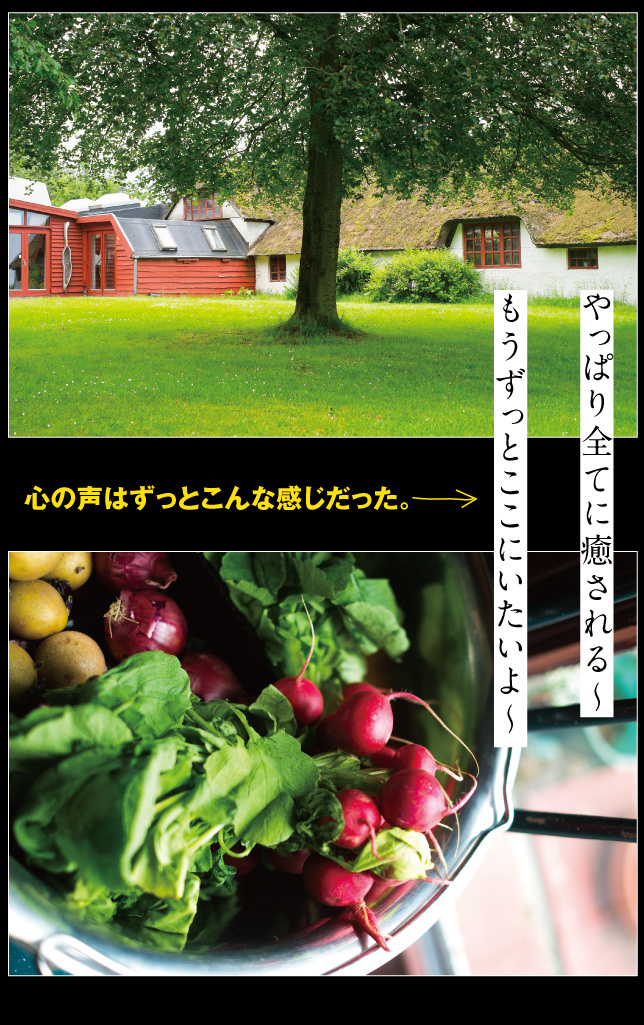 デンマーク一人旅☆2019その1_a0358016_22564292.jpg
