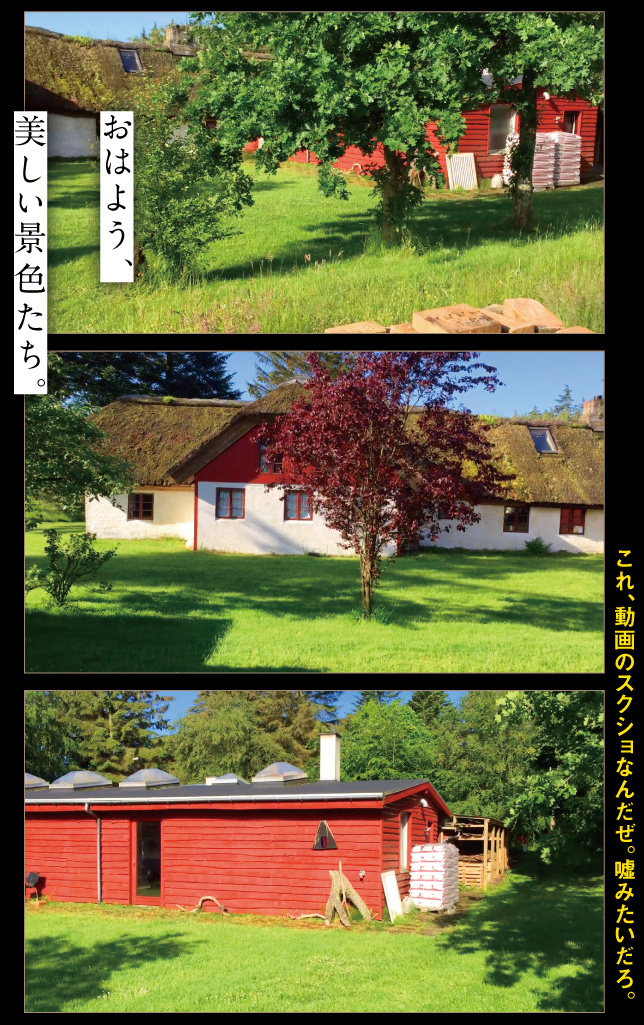 デンマーク一人旅☆2019その1_a0358016_22572007.jpg
