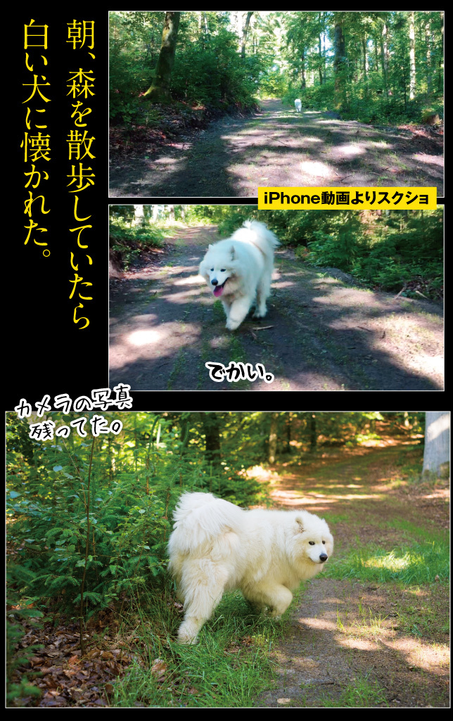 デンマーク一人旅☆2019その1_a0358016_22572365.jpg