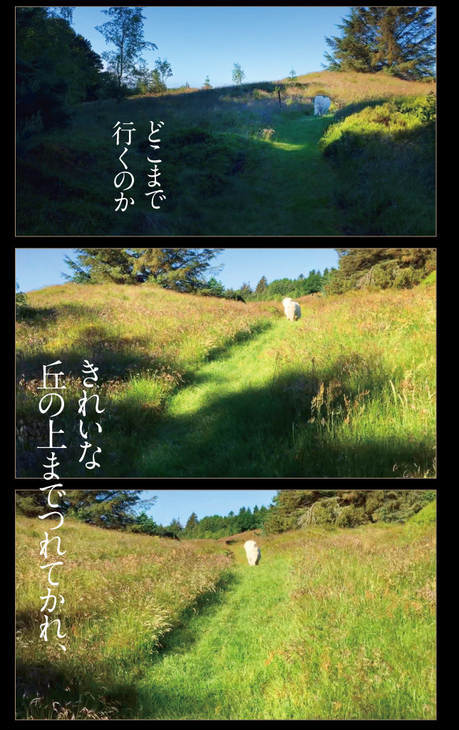 デンマーク一人旅☆2019その1_a0358016_22572904.jpg