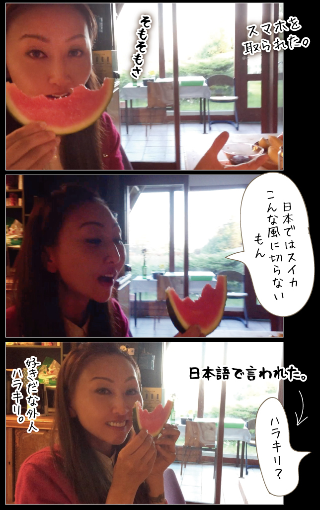 デンマーク一人旅☆2019その1_a0358016_22575446.jpg