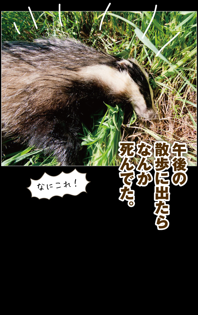 デンマーク一人旅☆2019その1_a0358016_22580257.jpg