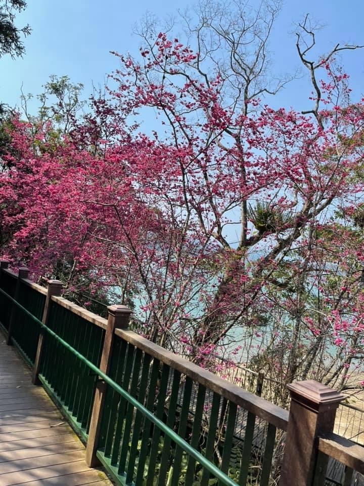 日月潭露營第一天_f0057324_18194043.jpeg