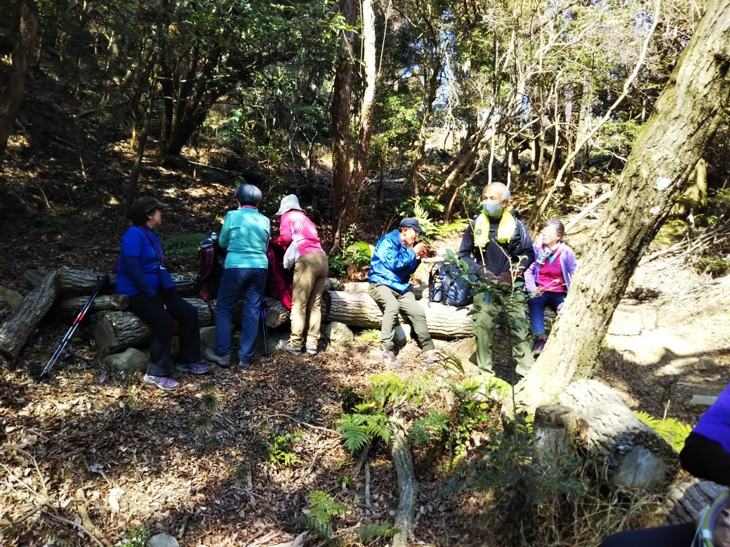 梅をたずねて カメさん歩き 『保久良神社梅林』_c0218841_17263432.jpg