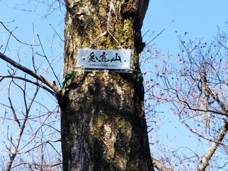 梅をたずねて カメさん歩き 『保久良神社梅林』_c0218841_17272905.jpg