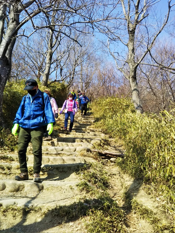 梅をたずねて カメさん歩き 『保久良神社梅林』_c0218841_17273354.jpg