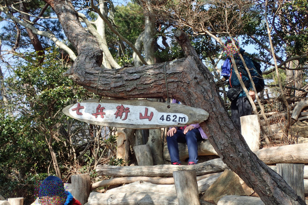 梅をたずねて カメさん歩き 『保久良神社梅林』_c0218841_20490450.jpg