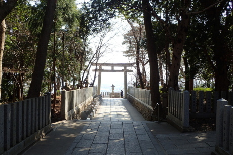 梅をたずねて カメさん歩き 『保久良神社梅林』_c0218841_20492136.jpg