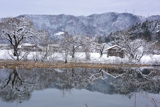 琵琶湖周辺の雪景色　　メタセコイヤ並木・余呉湖_c0303868_04394854.jpg