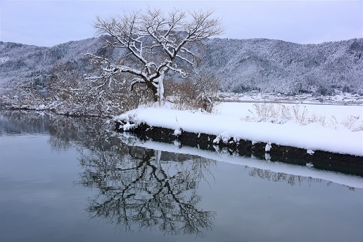 琵琶湖周辺の雪景色　　メタセコイヤ並木・余呉湖_c0303868_04475864.jpg