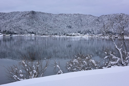 琵琶湖周辺の雪景色　　メタセコイヤ並木・余呉湖_c0303868_04491209.jpg