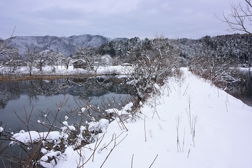 琵琶湖周辺の雪景色　　メタセコイヤ並木・余呉湖_c0303868_04495348.jpg