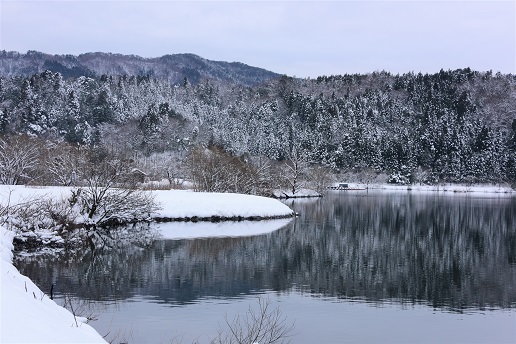 琵琶湖周辺の雪景色　　メタセコイヤ並木・余呉湖_c0303868_04502141.jpg