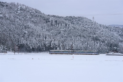 琵琶湖周辺の雪景色　　メタセコイヤ並木・余呉湖_c0303868_04512050.jpg