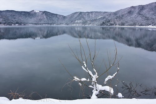 琵琶湖周辺の雪景色　　メタセコイヤ並木・余呉湖_c0303868_04541147.jpg