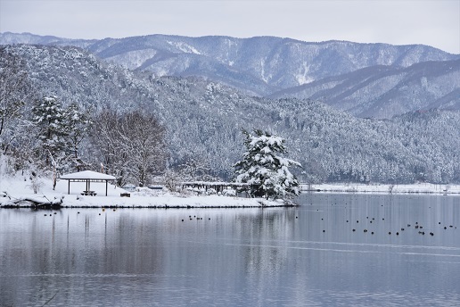 琵琶湖周辺の雪景色　　メタセコイヤ並木・余呉湖_c0303868_04544271.jpg