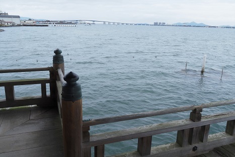 琵琶湖周辺の雪景色　　メタセコイヤ並木・余呉湖_c0303868_05002316.jpg